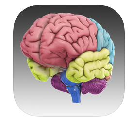 3D Brain's Logo